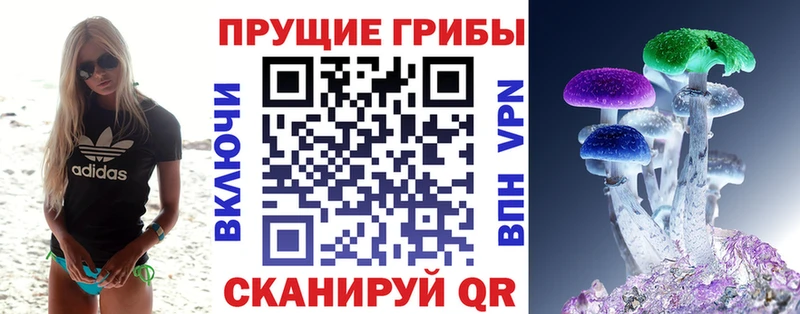 кракен рабочий сайт  наркотики  Первомайск  Псилоцибиновые грибы Cubensis 